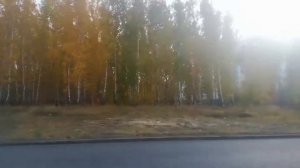 поездка на автобусе паз 32054 (40, Ко, Но, L0) (2012 г.в), а079кр45, маршрут 22