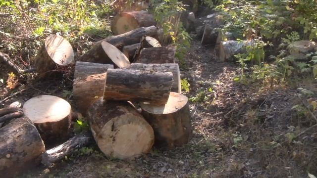 Таёжная обитель .Отшельника.Лесная изба. требует заготовки дров. смотреть онлайн