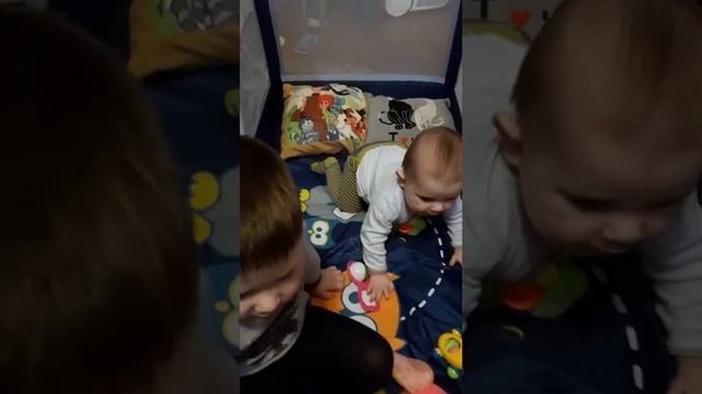 Купили детский манеж для Даниеля смотреть онлайн