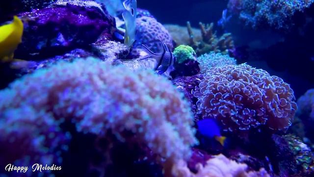 Нежная музыка и успокаивает нервную систему - лечебная музыка для сердца и радует душу 2 смотреть онлайн