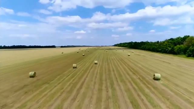 День самоуправление 2022 смотреть онлайн