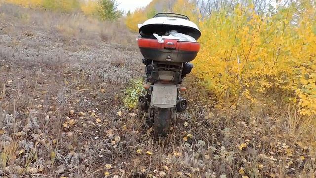TDM 900 Осень и холодно +2 Бреды Чел.обл.