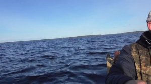 Весенняя охота 2021/охота на гуся/10 дней в тайге/заезд на избу/1 часть