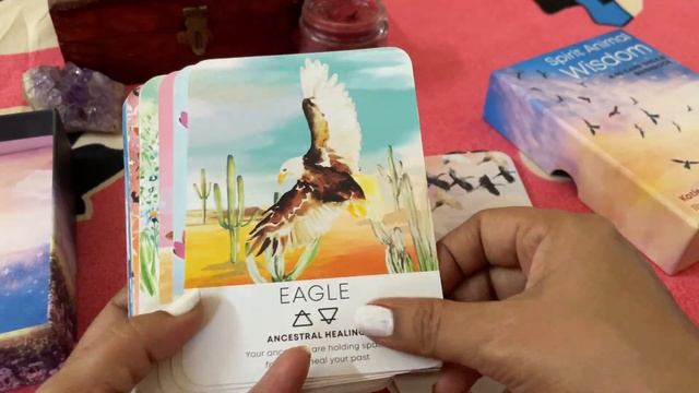 My spring Oracle decks 2022 смотреть онлайн