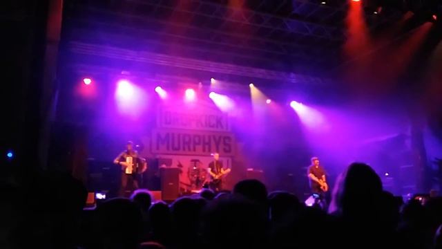 Dropkick Murphys - Rose Tattoo @ Meran Rock the Lahn 2016 смотреть онлайн