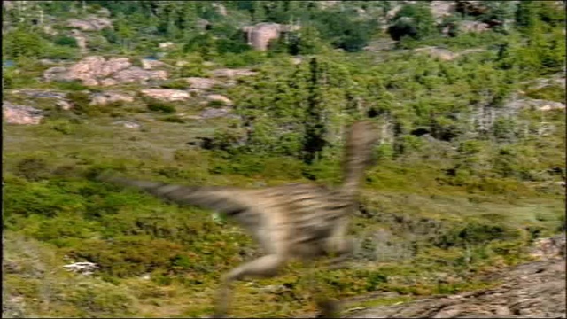 01.G смотреть онлайн