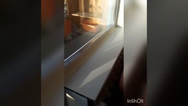 Жидкий пластик! Как правильно обрабатывать примыкания подоконника и откосов с окном смотреть онлайн