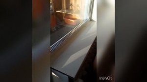 Жидкий пластик! Как правильно обрабатывать примыкания подоконника и откосов с окном