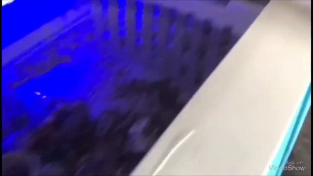 Vlog еду к другу !! Снимаю под водой !!!!! смотреть онлайн