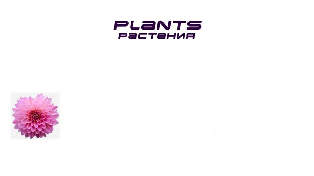 Растения (Plants) смотреть онлайн