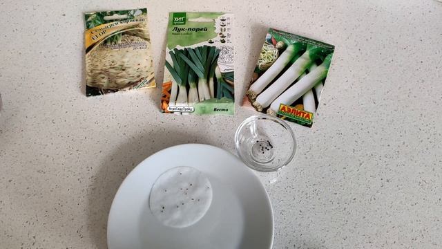 Сельдерей корневой - сеем семена. смотреть онлайн