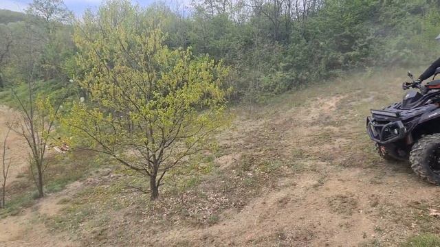 odes max pro 1000 i cf 625 смотреть онлайн