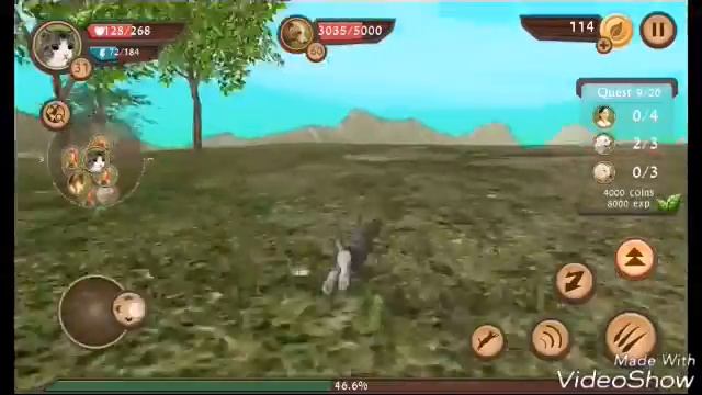 Cat Sim (ВСЕ БОССЫ!!!!!)