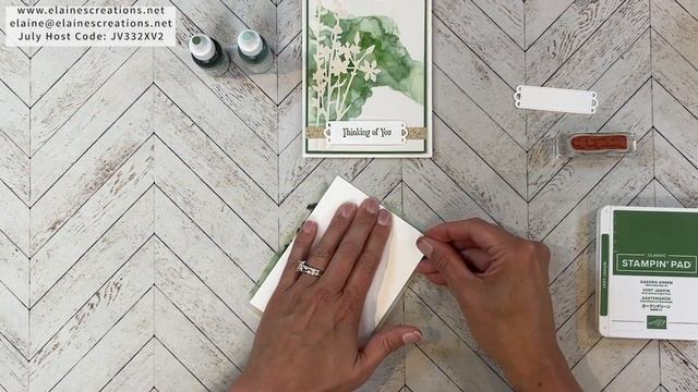 Fun with Alcohol Ink Technique using the Quiet Meadow Bundle! Elaine's Creations Stampin' Up! смотреть онлайн