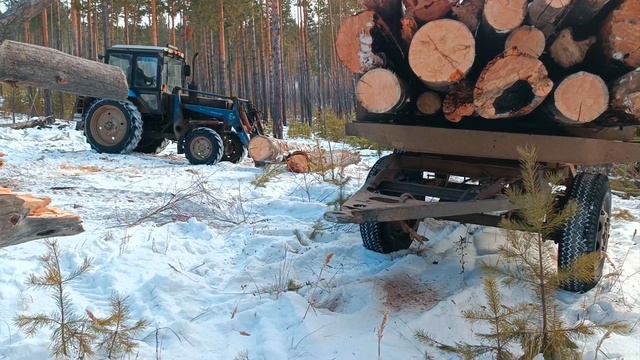 Едем по дрова на двух тракторах смотреть онлайн