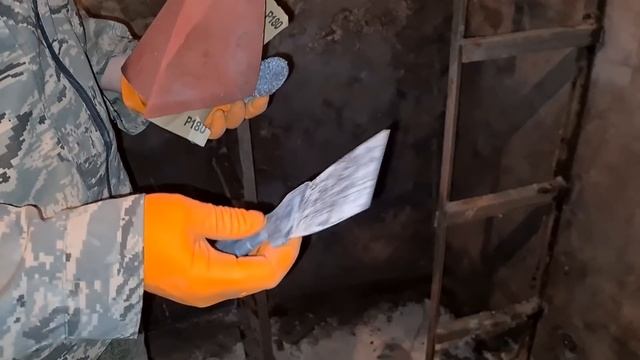 Избавление от тараканов и мышей в доме