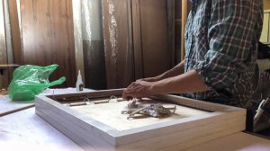 LED картина#светящаяся картина#своими руками#самоделки