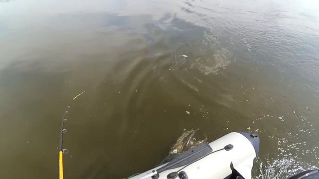 Активные судаки на троллинг в июне смотреть онлайн