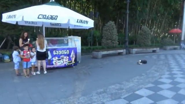 Батуми, центральный парк у моря смотреть онлайн