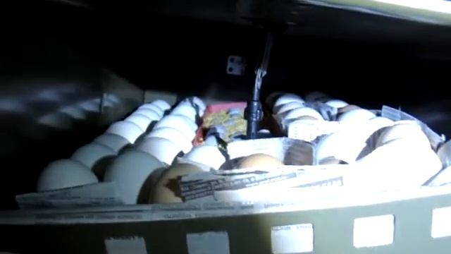 Ранняя инкубация 2017 г. Проблемы. Модернизация инкубатора китайской электроникой. смотреть онлайн