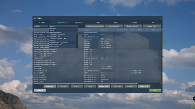 Tuto DCS World - Régler vos commandes ! Exemple Mirage 2000 смотреть онлайн