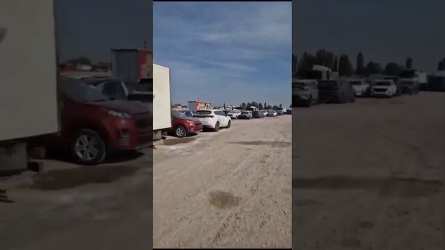 Наша команда теперь в Бишкеке. смотреть онлайн