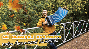 НЕ В КРАСОТЕ ДЕЛО/ поет Анатолий Гальянов