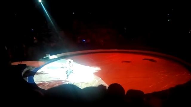Харьковский цирк смотреть онлайн
