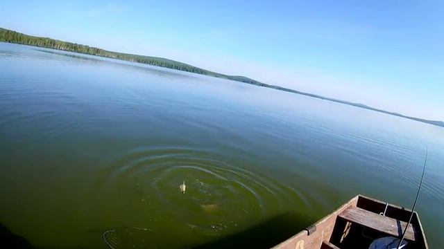 Рыбалка на фидер с лодки. Вот это я попал. Отличный улов. смотреть онлайн