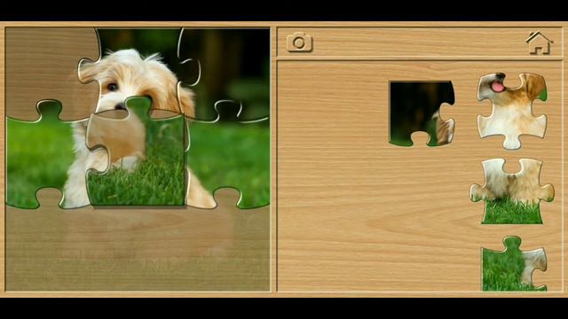 🦁Animal Puzzles For Kids🦁🦊🐆🐱🦄🦓🐮🐘🦏🐏🐵🦝🦊🐱🦄#Short