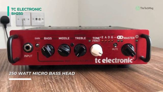 BEST BASS GUITAR AMPLIFIERS! смотреть онлайн