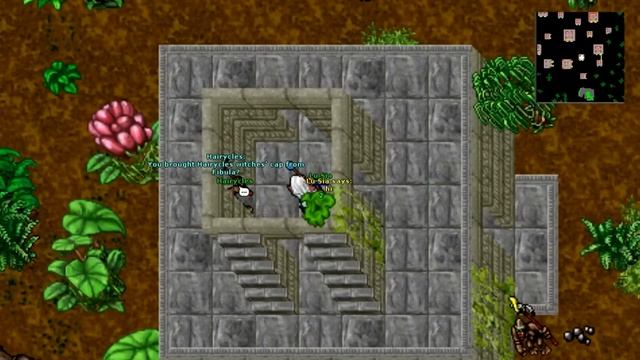 Banuta Quest GUIDE (The Ape City Quest) | Tibia смотреть онлайн