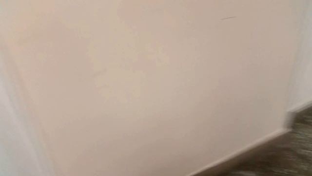 Глубокая чистка пола из бетона с мраморной крошкой смотреть онлайн