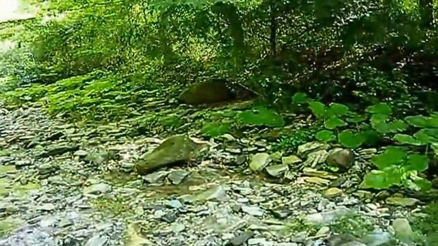 Одиночный поход по реке "ДЕДЕРКОЙ" Июнь 2017 смотреть онлайн