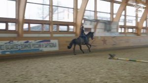 Конкурная тренировка с использованием жердей и кавалетти