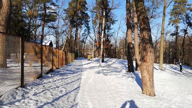 Самоход экстрим шредер. Покатухи. смотреть онлайн