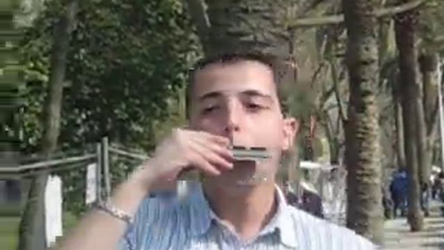 laru tocando la armonica смотреть онлайн