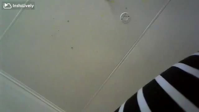 The Amazing Adventures of ????? смотреть онлайн