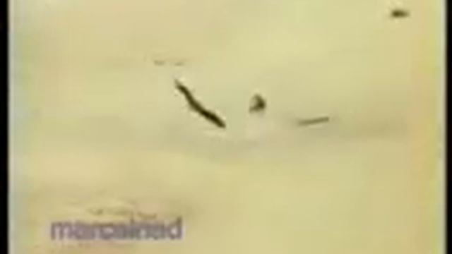 Охота на волка в Монголии смотреть онлайн