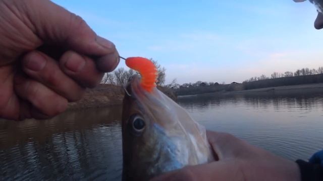 Мы в ШОКЕ! от РЫБАЛКИ первый РАЗ на Волге ВЕСНОЙ. ПАЛАТКИ, Спиннинг, СУДАКИ, РИБ +9.9, Лоранс смотреть онлайн