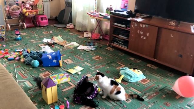 Завтрак в семье директора Зоопарка «Садгород» часть 1 смотреть онлайн