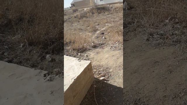 25 февраля 2024 г. смотреть онлайн