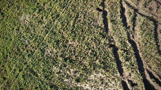GoPro 8 BLACK with BUGS3 #GOPRO # hero8 #bugs3 #mjx #drone смотреть онлайн