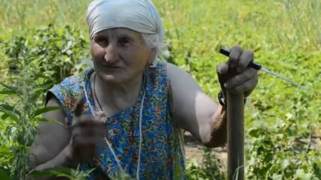 Борщево 30 06 2017 смотреть онлайн