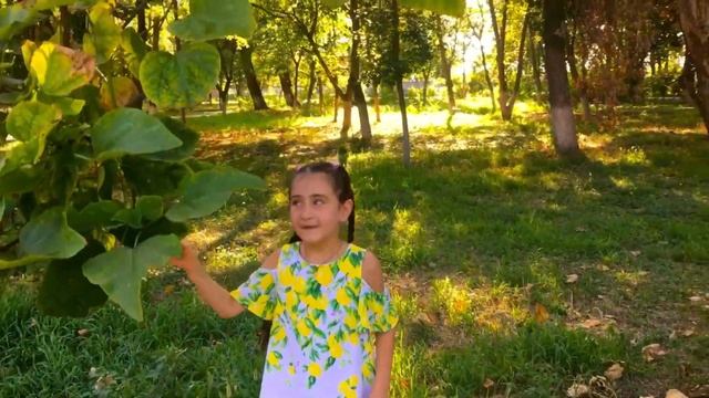 Нижний парк в Прохладном. Отдых в Кабардино-Балкарии. смотреть онлайн