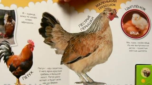 Про корову-хозяюшку и не только изд. Азбукварик смотреть онлайн