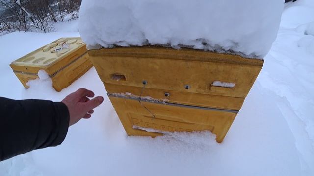 ЗИМОВКА ПЧЁЛ НА ВОЛЕ В МАРТЕ МЕСЯЦЕ, ЧТО НУЖНО СДЕЛАТЬ ДЛЯ ПЧЁЛ смотреть онлайн