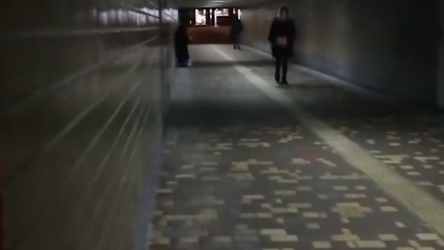 Таинственное и красивое пение женщины под фортепиано в Киеве м Осокорки | Уличный музыкант