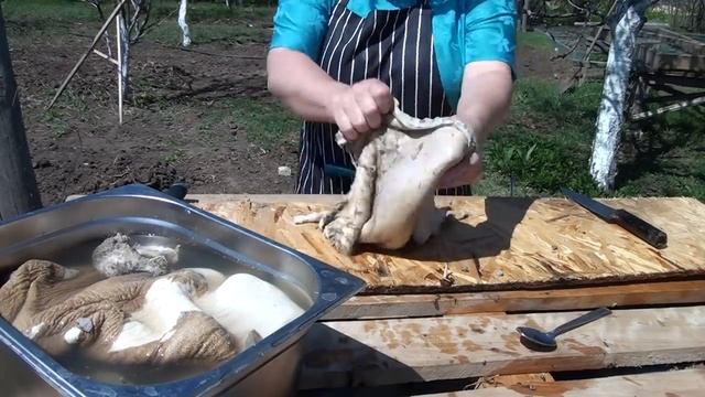 ТРЕБУХА ЧИСТИМ! не БРОСАЕМ! смотреть онлайн