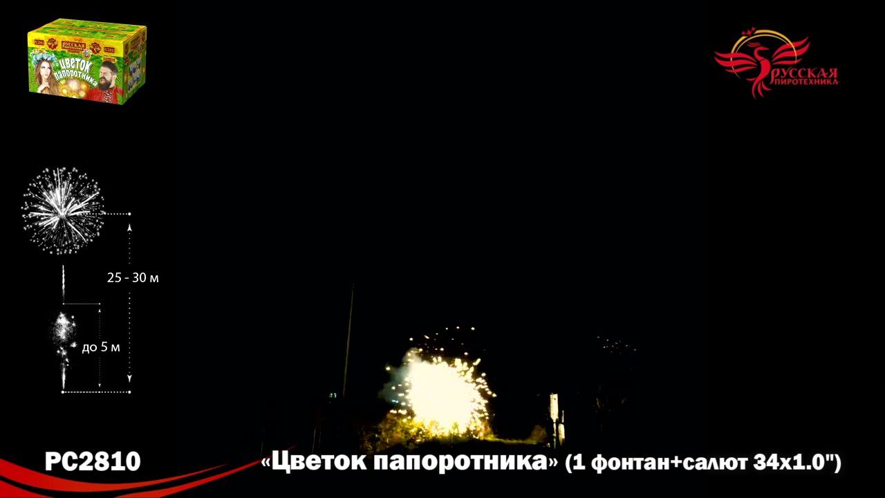 PC 2810 смотреть онлайн